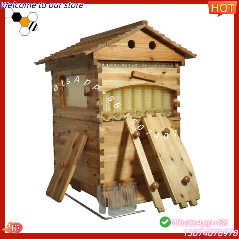 Beehive Frame Wax - 2026 خلية نحل صينية ذاتية التدفق