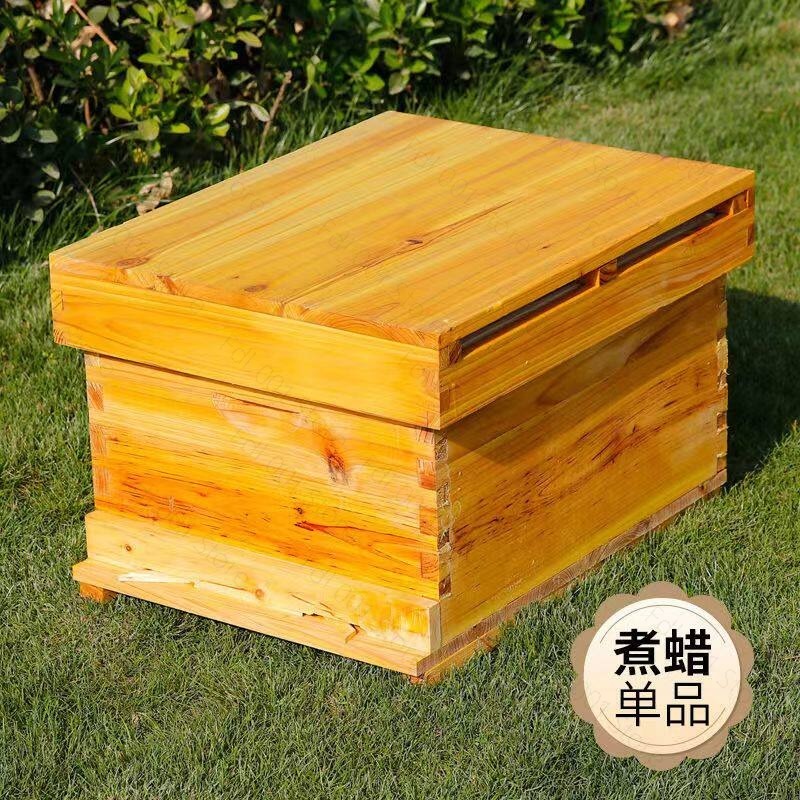 Beehive Frame Wax - طقم خلية نحل كامل 10 إطارات