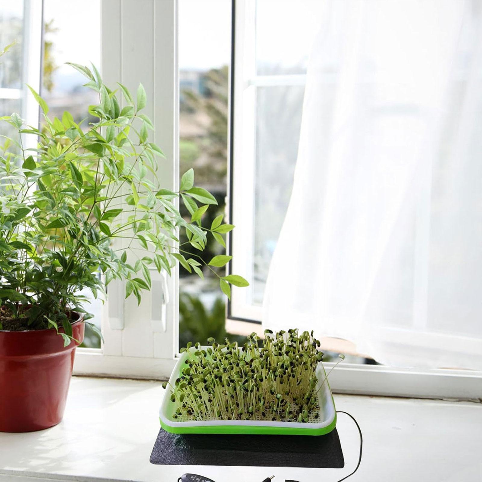 Seedling Heat Mat - بساط حراري للزراعة المائية لتكاثر الشتلات،