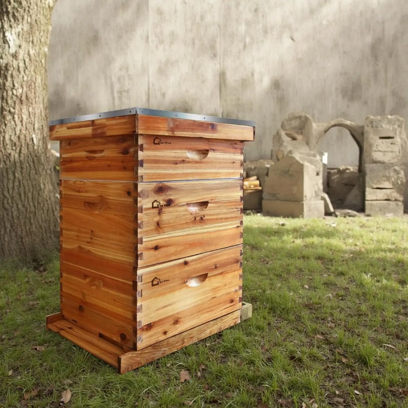 طقم خلية نحل كامل بـ 10 إطارات - مراجعة Beehive Frame Wax وسعره