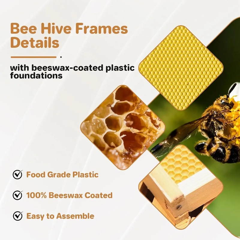 طقم خلية نحل كامل بـ 10 إطارات - مراجعة Beehive Frame Wax وسعره