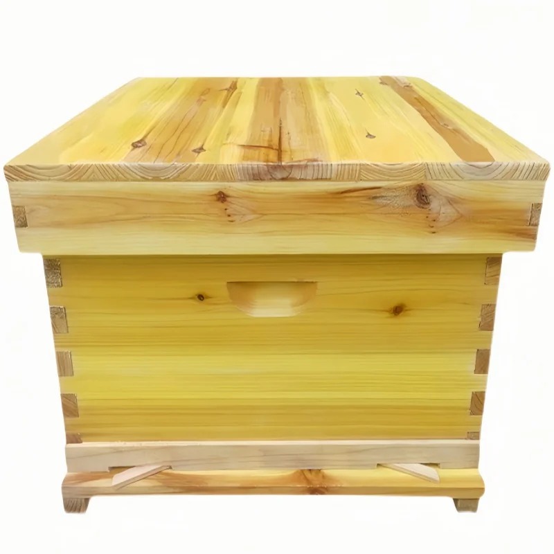 خلية النحل في صندوق النحل، مجم - مراجعة Beehive Frame Wax وسعره