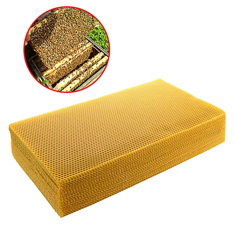 30 قطعة/الحزمة مشط النحل الأسا - مراجعة Beehive Frame Wax وسعره