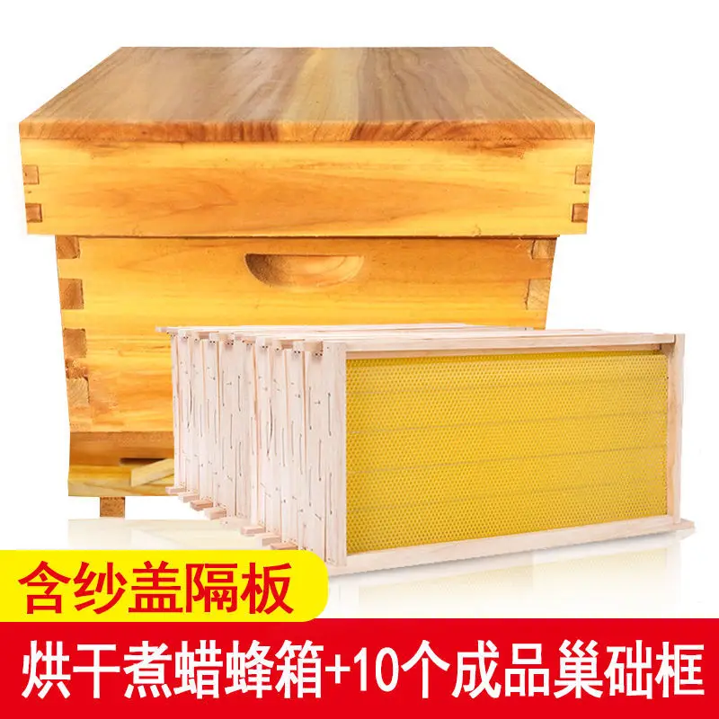خلية نحل من شمع مغلي بعشرة إطا - مراجعة Beehive Frame Wax وسعره